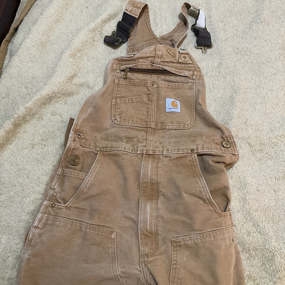 Carhartt men’s 30 by 31 overalls